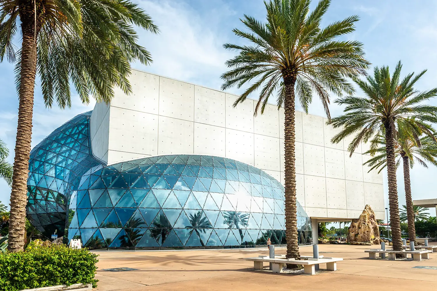 Μουσείο Σαλβαδόρ Νταλί στην Αγία Πετρούπολη, Φλόριντα