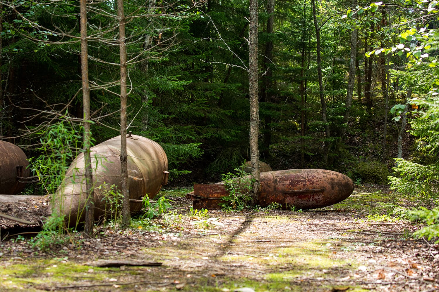 Παλαιές βόμβες στο δάσος Naissaar, Εσθονία