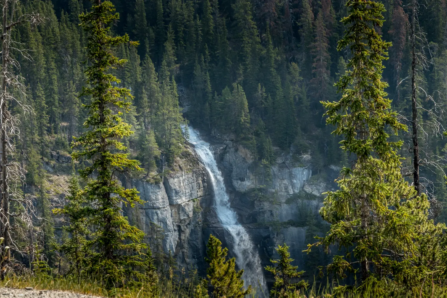 Το Bridal Viel Falls ρέει από το Εθνικό Πάρκο Huntington Glacier Banff Alberta Canada