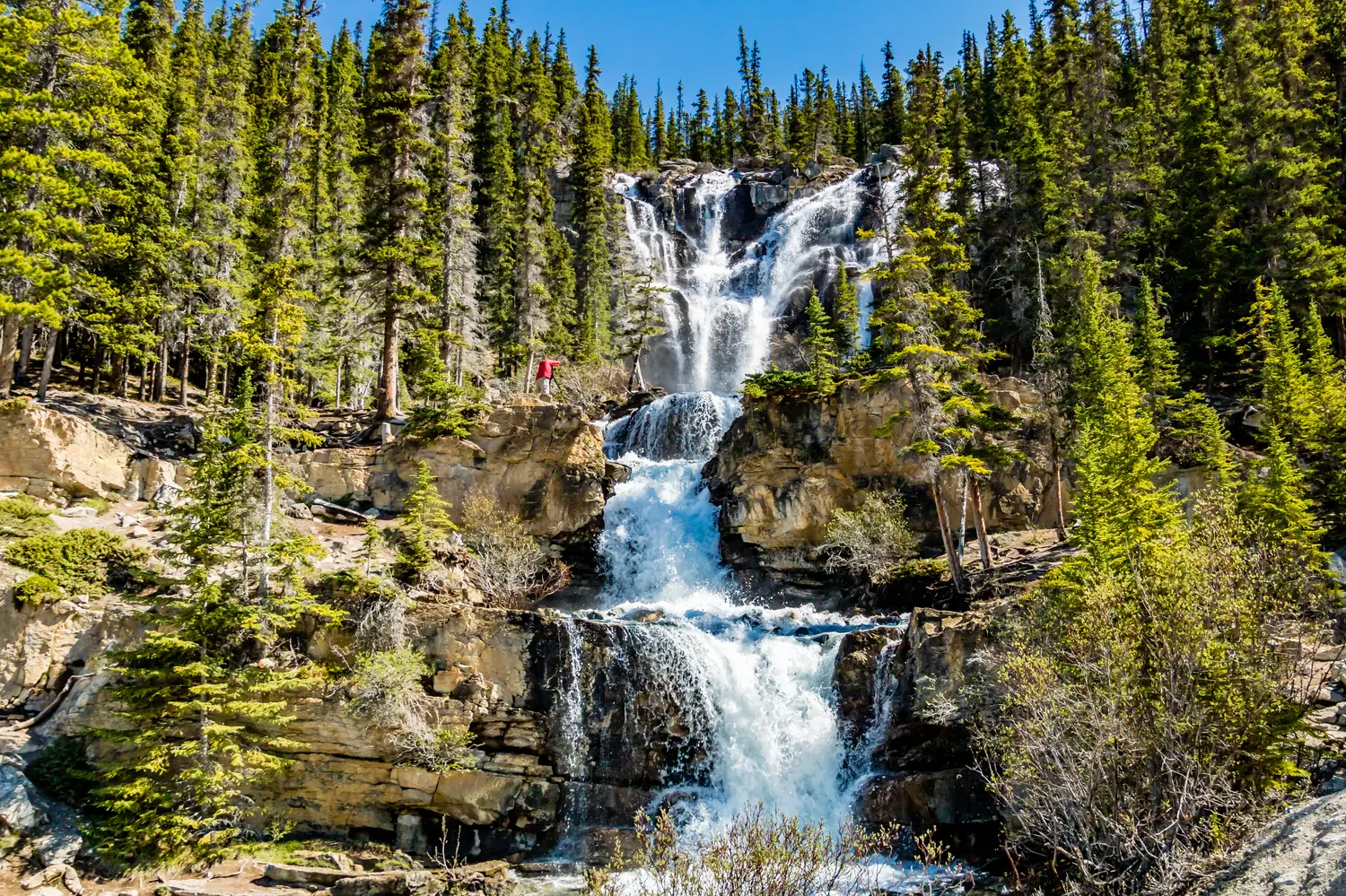 Καταρράκτες Tangle Creek στο Εθνικό Πάρκο Jasper, Αλμπέρτα, Καναδάς
