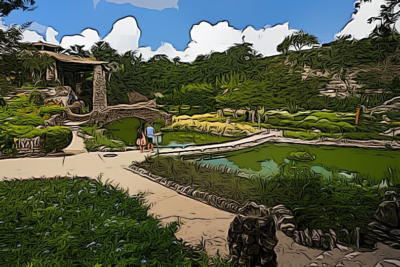 Ιαπωνικοί κήποι τσαγιού