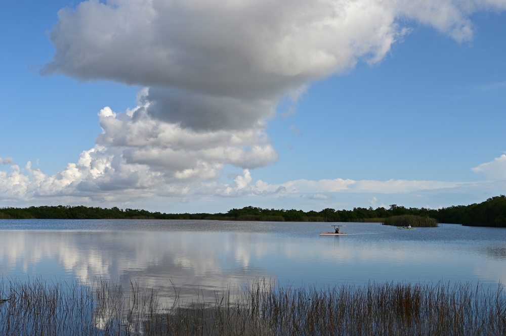 Καγιάκ σε απόσταση στο Nine Mile Pond στο εθνικό πάρκο που δείχνουν τη φθηνότερη ώρα για να επισκεφθείτε το Everglades